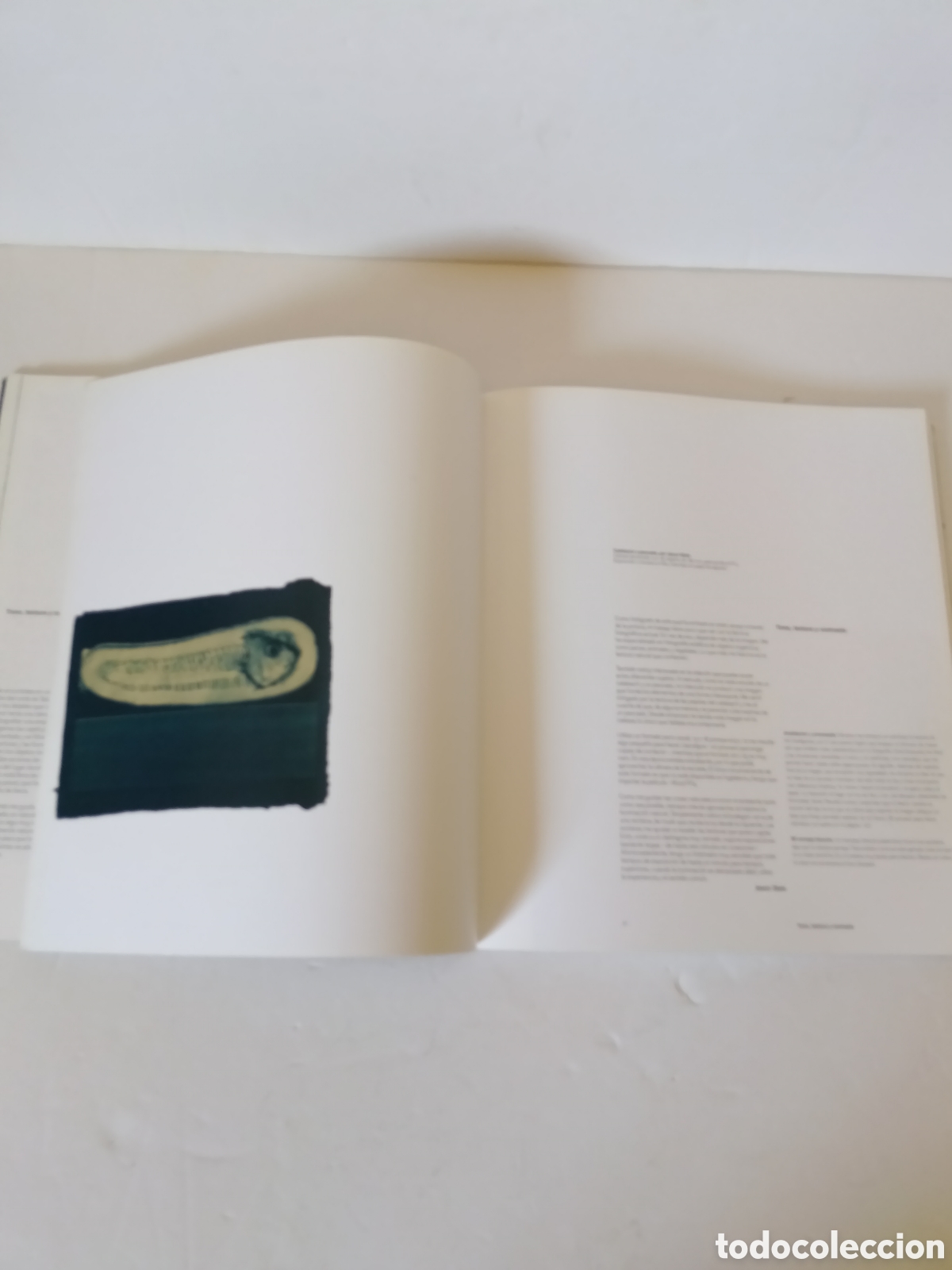 Libros de segunda mano: TERRY HOPE Bodegones - Foto 10