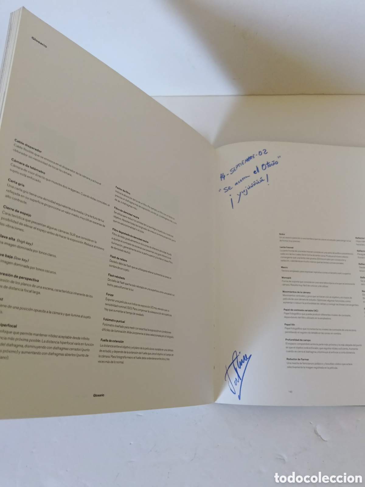 Libros de segunda mano: TERRY HOPE Bodegones - Foto 11