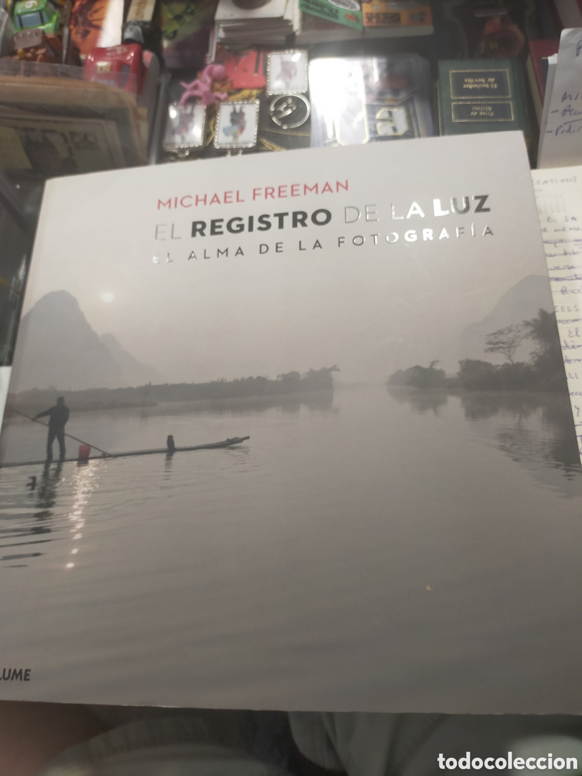 Libros de segunda mano: EL REGISTRO DE LA LUZ MICHAEL FREEMAN BLUME