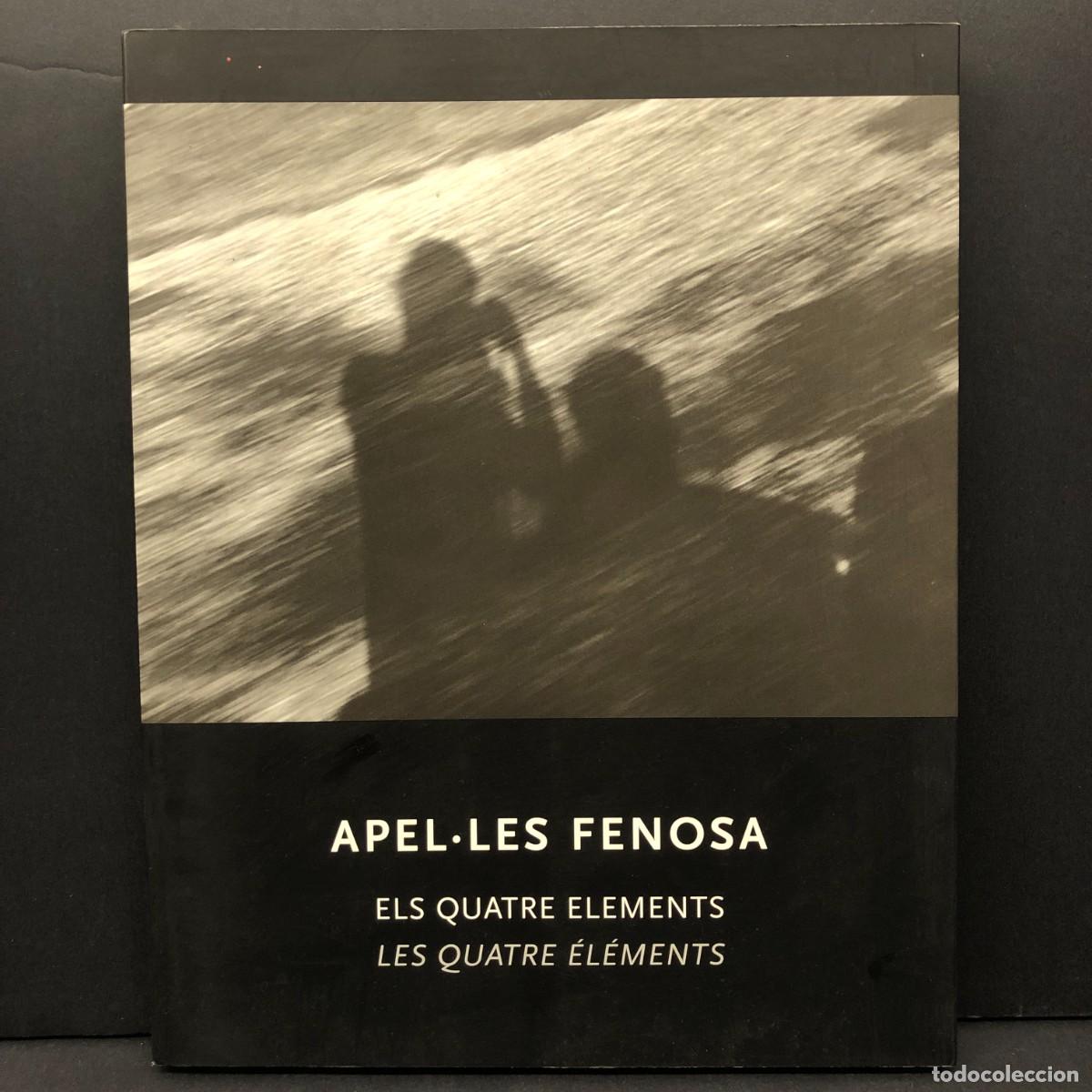 Libros de segunda mano: APELLES FENOSA - ELS QUATRE ELEMENTS - FUNDACI&Oacute; CAIXA TARRAGONA - 2004 / 2758