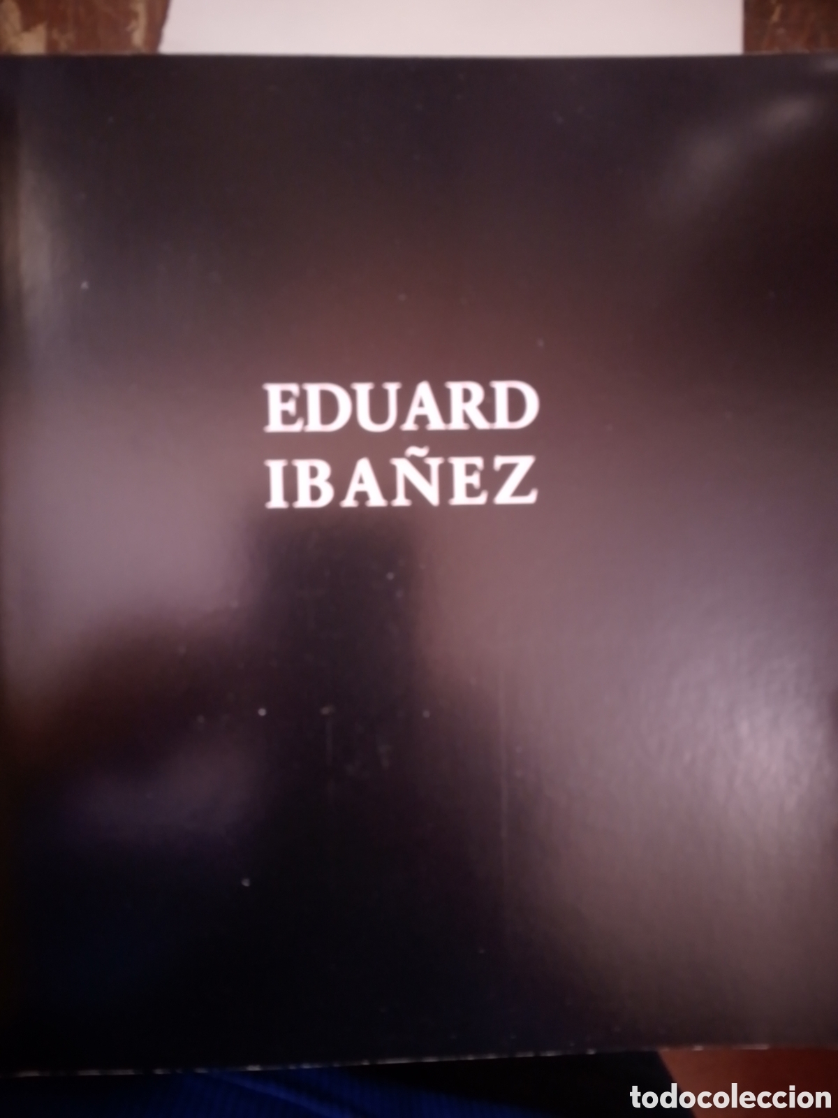 Libros de segunda mano: EDUARD IBA&Ntilde;EZ. EL ROSTRO CIRCUNSCRITO. FOTOGRAFIAS 1992 - 1995. GALERIA VISOR. 1995
