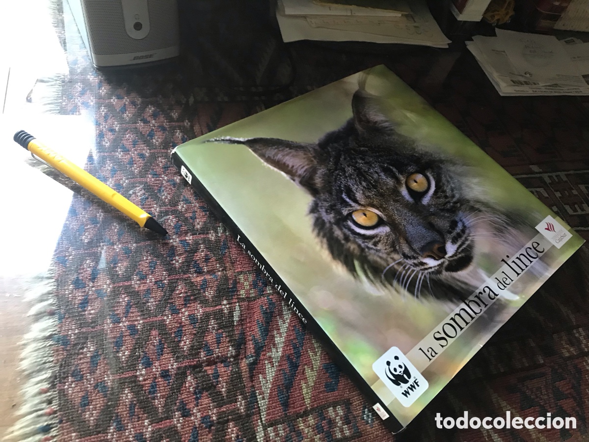 Libros de segunda mano: La sombra de lince. WWF. Fundaci&oacute;n Cajasur