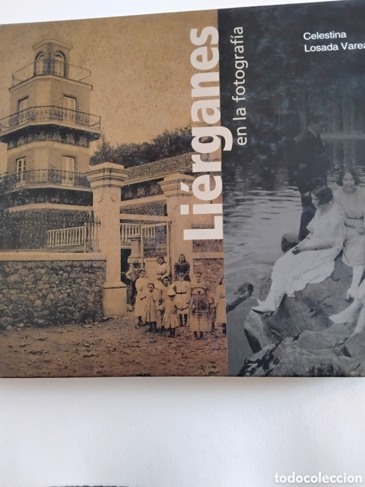Libros de segunda mano: LI&Eacute;RGANES EN LA FOTOGRAF&Iacute;A. CELESTINA LOSADA VAREA