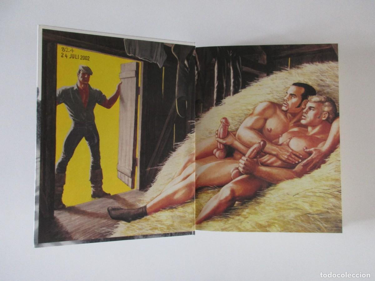 Libros de segunda mano: TOM OF FINLAND - THE ART OF PLEASURE - COMIC + ILUSTRACI&Oacute;N GAY + KAKE - ISBN 9783822857632