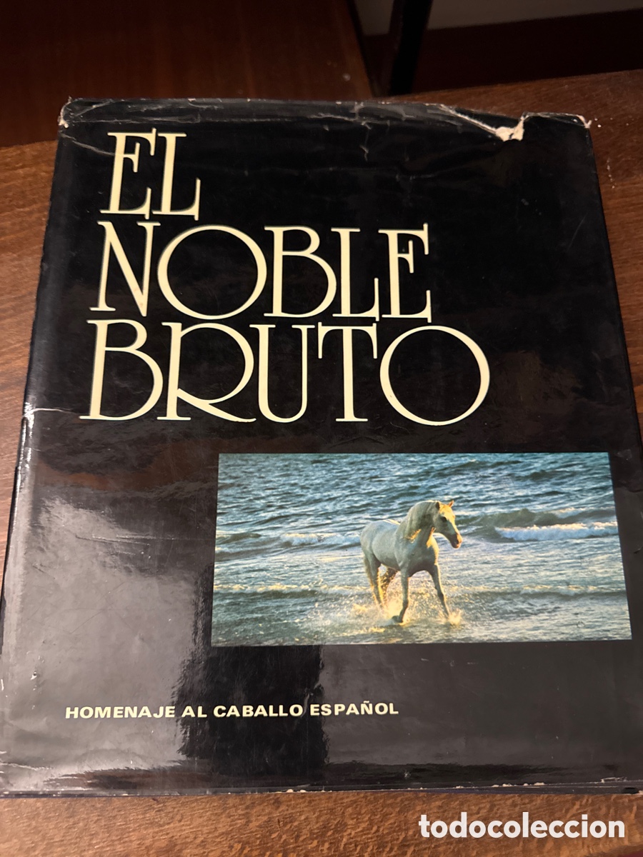 Libros de segunda mano: El noble bruto: Homenaje al caballo espa&ntilde;ol