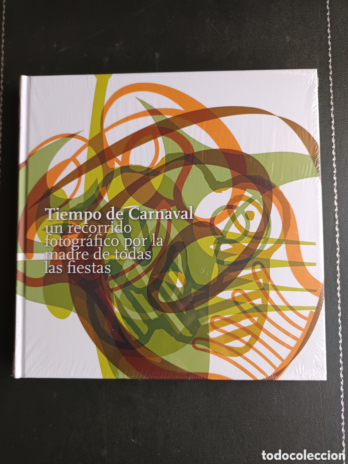 Libros de segunda mano: TIEMPO DE CARNAVAL. UN RECORRIDO FOTOGRAFICO POR LA MADRE DE TODAS LAS FIESTAS. sin desprecintar