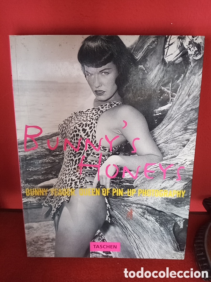 Libros de segunda mano: BUNNY'S HONEYS PIN UP LIBRO DE FOTOGRAFIA ER&Oacute;TICA