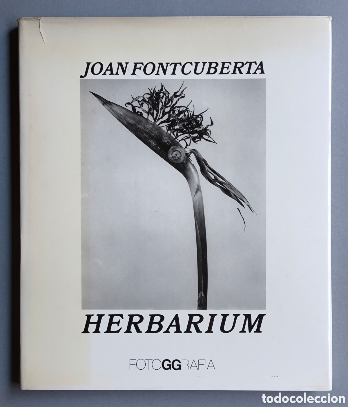 Libros de segunda mano: HERBARIUM FOTOGRAF&Iacute;A J. FONTCUBERTA LIBRO DESCATALOGADO TIRADA LIMITADA EJEMPLAR FIRMADO