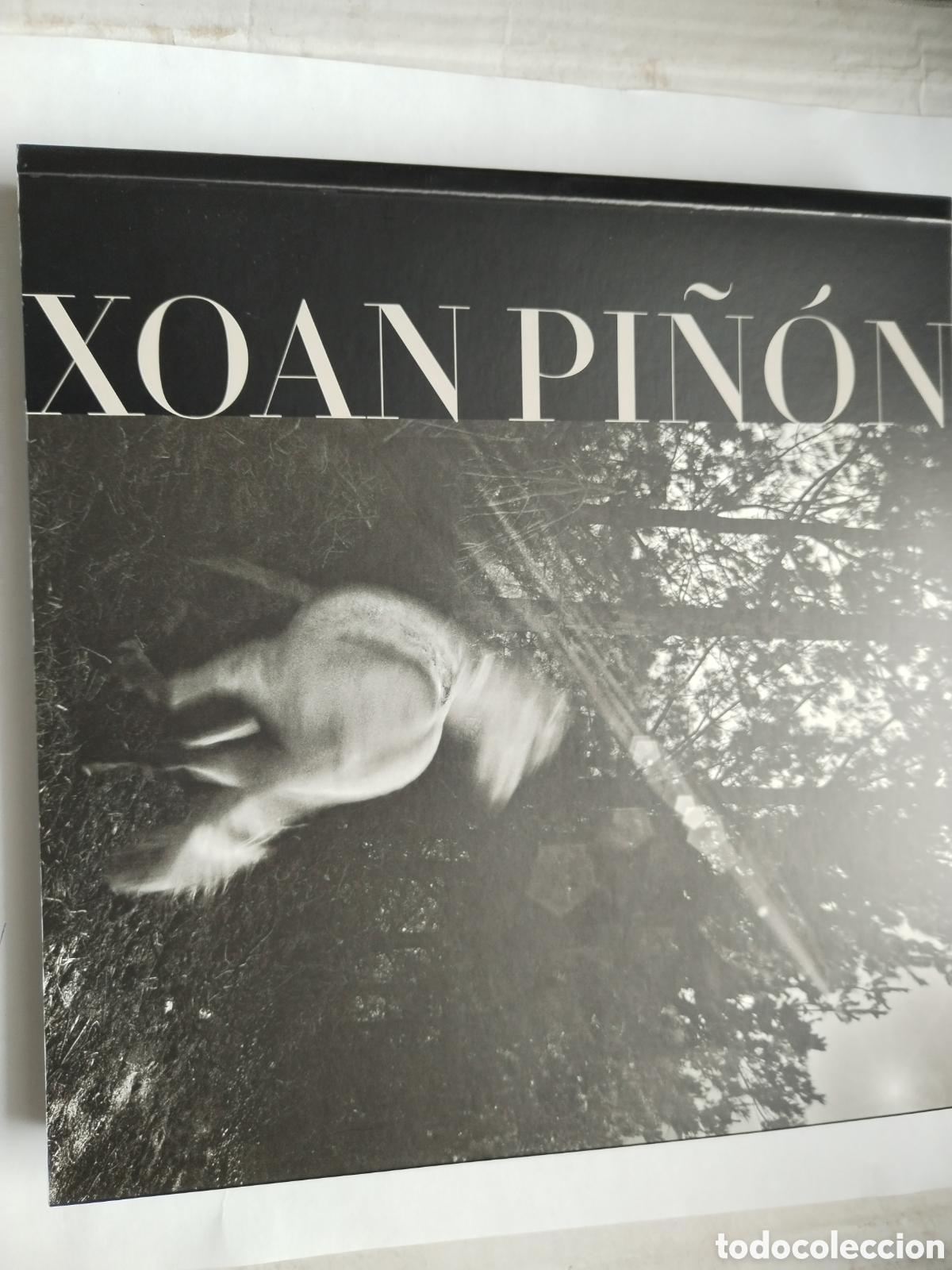 Livres d'occasion: XOAN PI&Ntilde;&Oacute;N QUIOSCO AFONSO