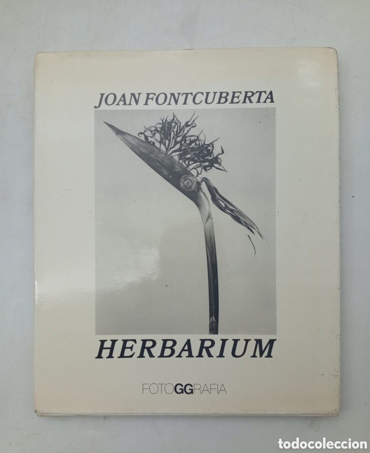Gebrauchte B&uuml;cher: Herbarium firmadoJoan Fontcuberta