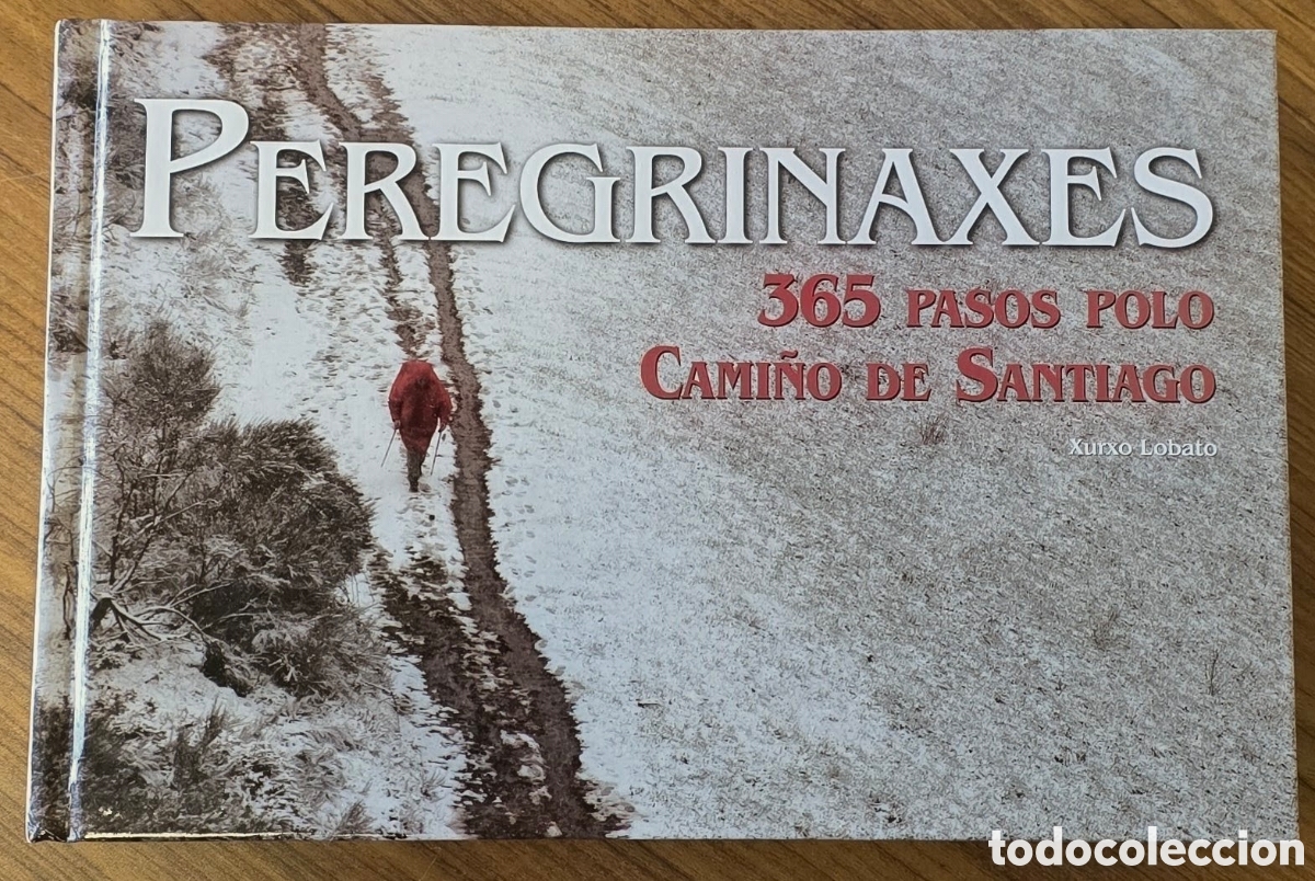 Libros de segunda mano: PEREGRINAXE. Xurxo Lobato
