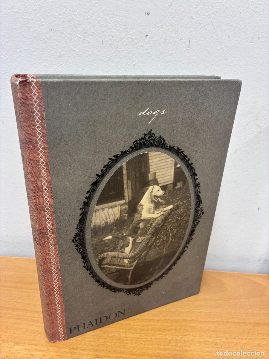Libros de segunda mano: LIBRO DE FOTOGRAF&Iacute;A ANTIGUA: DOGS. COLLECTED BY CATHERINE JOHNSON. WORDS BY WILLIAM NEGMAN.