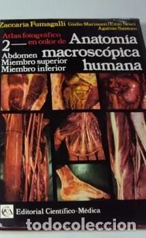Libros de segunda mano: Atlas Fotogr&aacute;fico en Color de Anatom&iacute;a Macrosc&oacute;pica Humana (T. 2) - Zaccaria Fumagalli - Cient&iacute;fico-