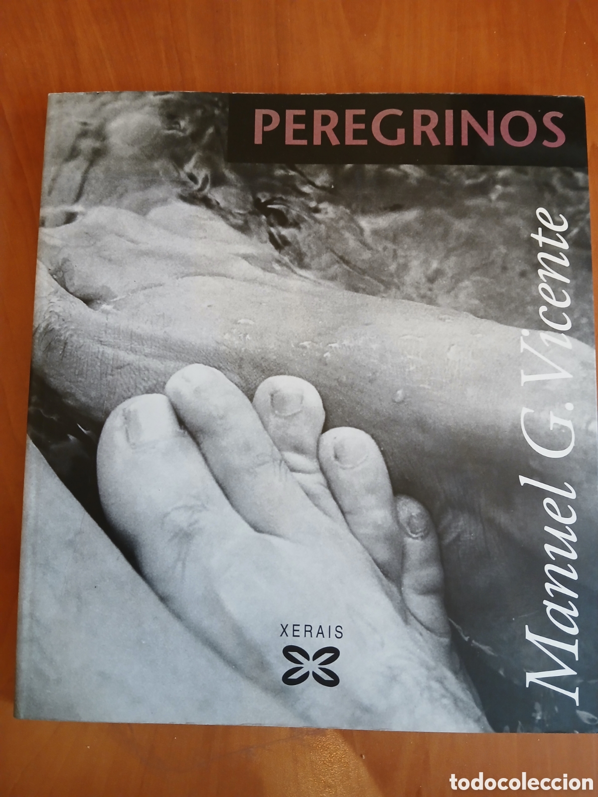 Libros de segunda mano: Peregrinos. Manuel G Vicente.