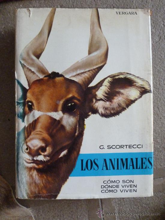 Enciclopedias de segunda mano: Enciclopedia Los Animales, como son ,donde viven ,como viven.5 Tomos.G. Scortecci.Vergara - Foto 2 - 33408839
