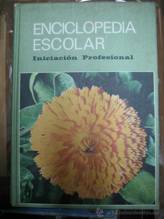 Enciclopedias de segunda mano: ENCICLOPEDIA ESCOLAR - Foto 1