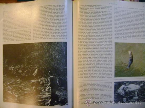 Enciclopedias de segunda mano: Enciclopedia de la Pesca, Vergara - Foto 5