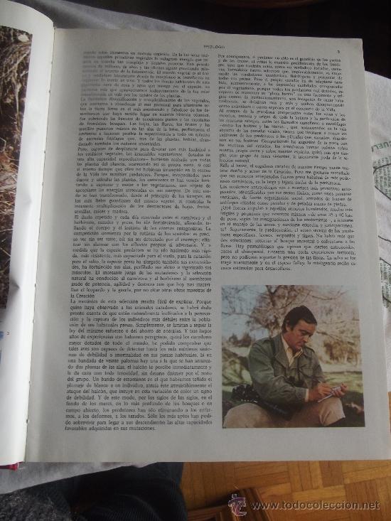 Enciclopedias de segunda mano: ECICLOPEDIA DE LA CAZA - Foto 3