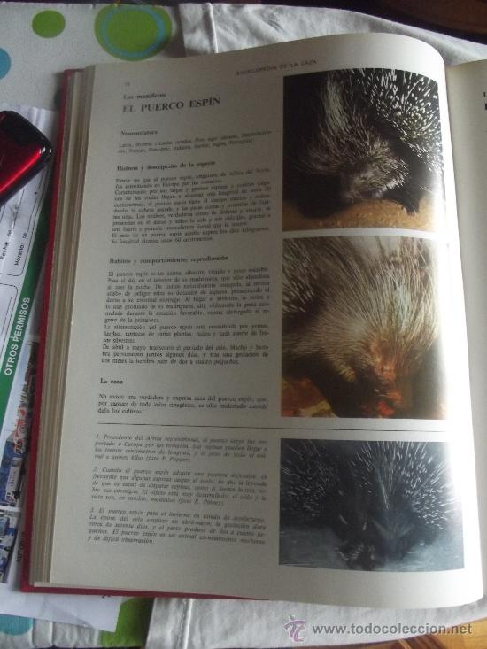 Enciclopedias de segunda mano: ECICLOPEDIA DE LA CAZA - Foto 4