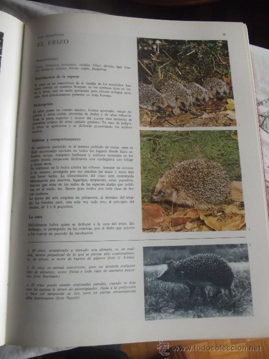 Enciclopedias de segunda mano: ECICLOPEDIA DE LA CAZA - Foto 5