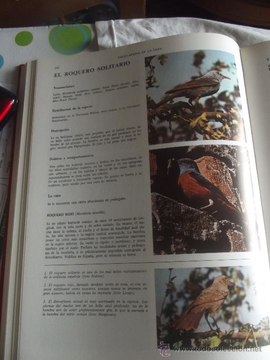 Enciclopedias de segunda mano: ECICLOPEDIA DE LA CAZA - Foto 6