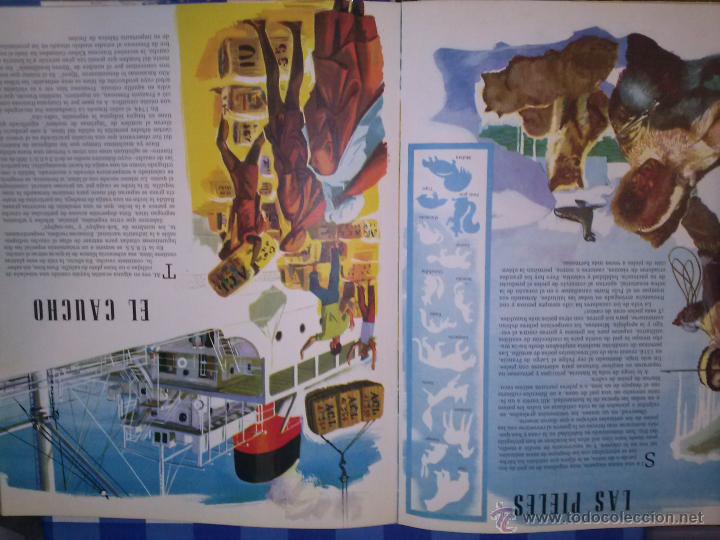 Enciclopedias de segunda mano: las grandes industrias - Foto 8