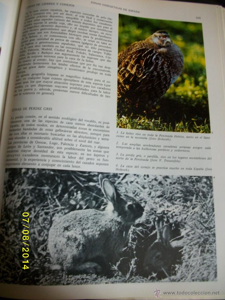 Enciclopedias de segunda mano: ENCICLOPEDIA DE LA CAZA - Foto 5