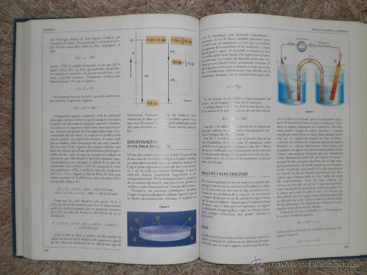 Enciclopedias de segunda mano: NOVA. LENCICLOP&Egrave;DIA DE LESTUDIANT (EN CATAL&Aacute;N) (15.8) - Foto 3