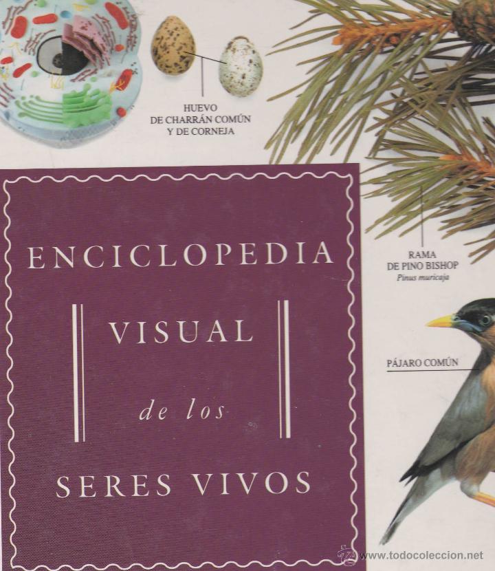 Enciclopedias de segunda mano: Enciclopedia visual de los seres vivos - Foto 1