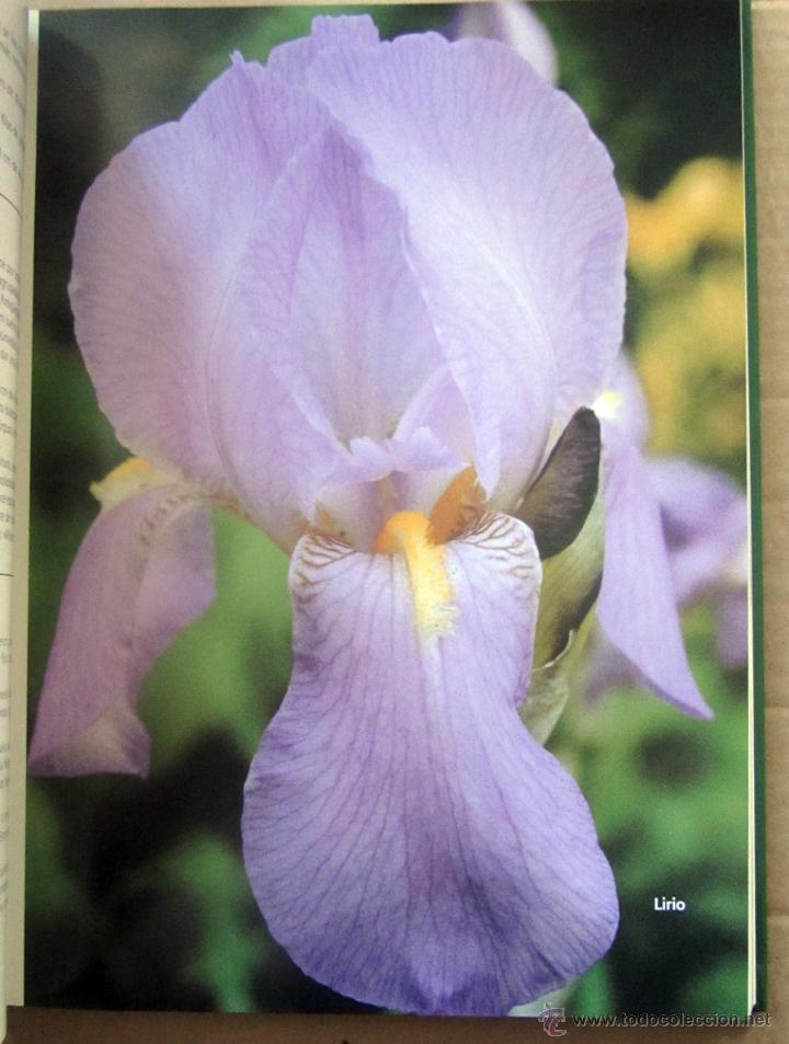 Enciclopedias de segunda mano: EL GRAN LIBRO DE LA JARDINER&Iacute;A - Foto 6