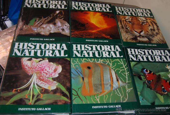 Historia Natural: Esponjas, Insectos, Protozoos 