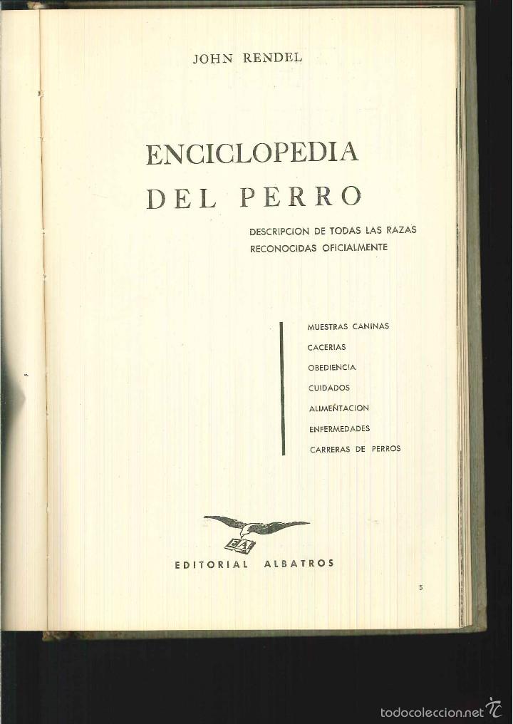 Enciclopedias de segunda mano: ENCICLOPEDIA DEL PERRO. John Rendel. - Foto 1