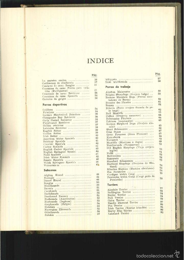 Enciclopedias de segunda mano: ENCICLOPEDIA DEL PERRO. John Rendel. - Foto 2