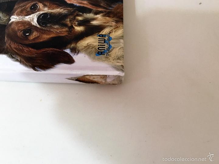 Enciclopedias de segunda mano: ENCICLOPEDIA DEL PERRO TOMO 3 - Foto 3