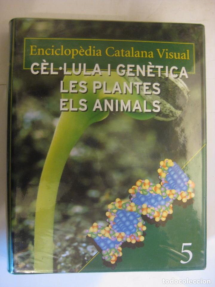 Enciclopedias de segunda mano: Enciclopedia Catalana Visual - Foto 8