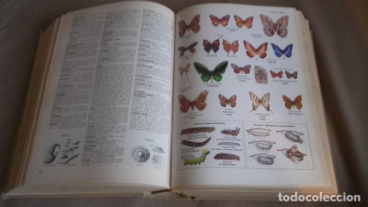 Enciclopedias de segunda mano: PETIT LAROUSSE ILUSTRE 1981 . - Foto 4