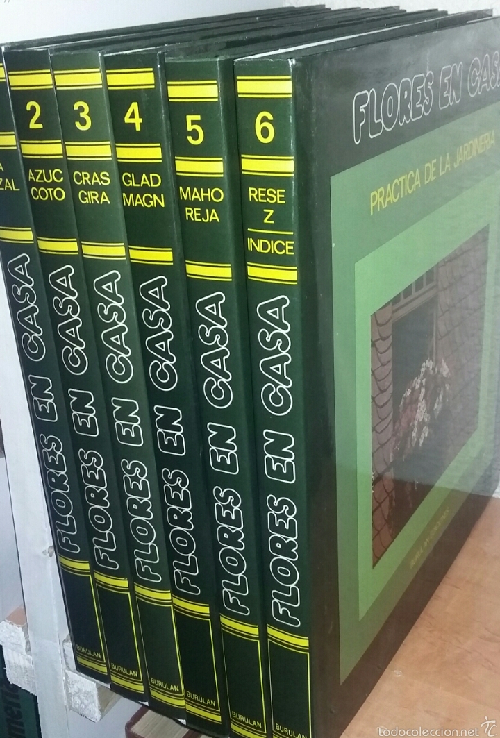 Flores en casa - 6 tomos completa - burulan - s - Vendido ...