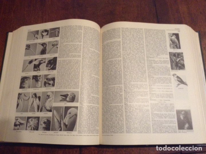 Enciclopedias de segunda mano: Gran enciclopedia Larousse - Foto 5