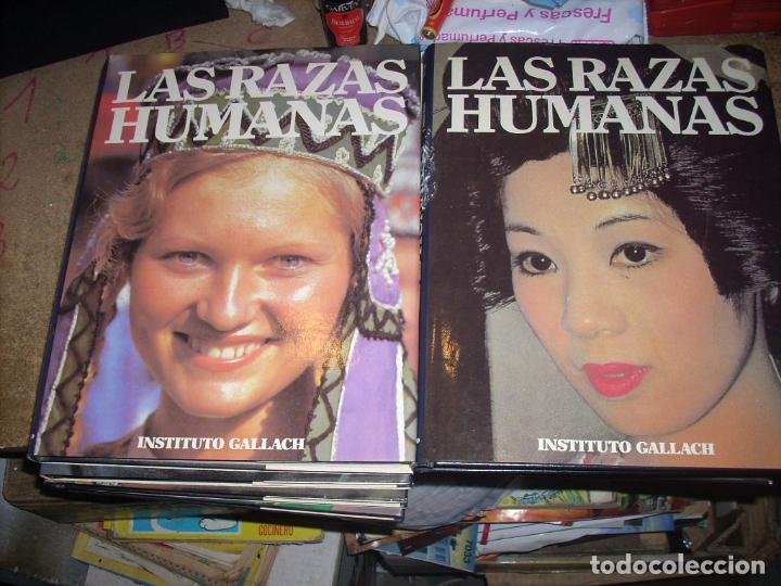 Enciclopedias de segunda mano: Las razas humanas, instituto Gallach, completa - Foto 2