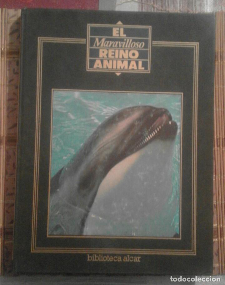 Livres d'occasion: El maravilloso reino animal n&ordm; 6