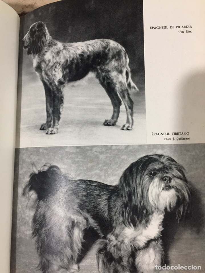 Enciclopedias de segunda mano: Enciclopedia canina - Foto 4