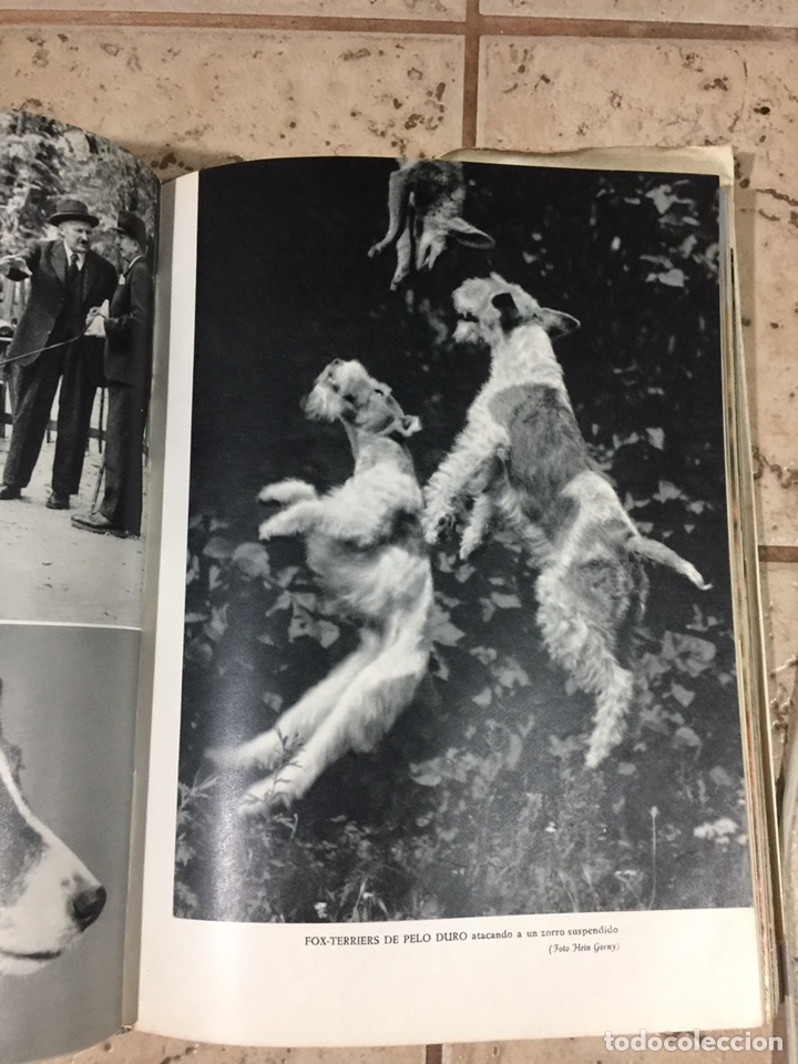 Enciclopedias de segunda mano: Enciclopedia canina - Foto 5