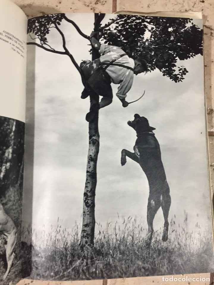 Enciclopedias de segunda mano: Enciclopedia canina - Foto 6