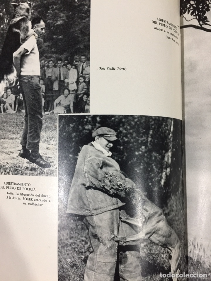Enciclopedias de segunda mano: Enciclopedia canina - Foto 7