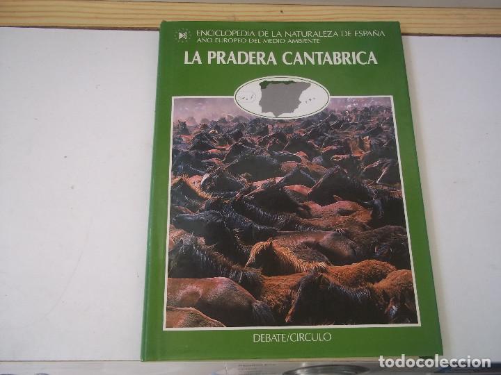 Livres d'occasion: TOMO 7 LA PRADERA CANTABRICA ENCICLOPEDIA DE LA NATURALEZA DE ESPA&Ntilde;A 1988 POSIBLE RECOGIDA MALLORCA