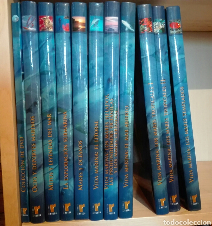 Enciclopedias de segunda mano: El mundo submarino. Rueda. 10 tomos y 6 DVDs. enciclopedia Completa - Foto 1 - 109472132