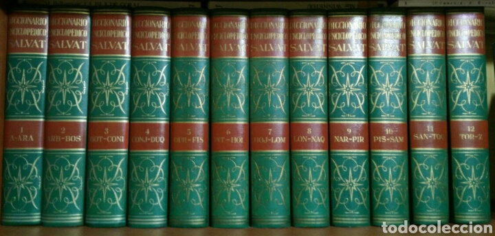 Libri di seconda mano: Diccionario enciclop&eacute;dico Salvat