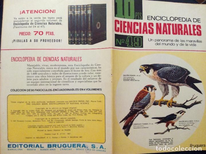 Livres d'occasion: TAPAS DEL FASC&Iacute;CULO DE LA ENCICLOPEDIA DE CIENCIAS NATURALES N&ordm; 49.