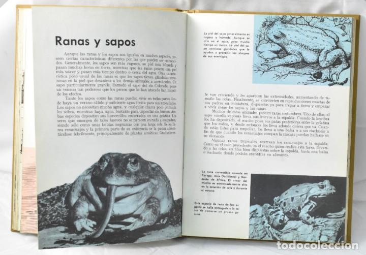 Enciclopedias de segunda mano: Conquistas de la Humanidad. Do you Know? 1966 - Foto 2