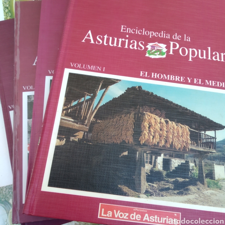 Enzyklop&auml;dien aus zweiter Hand: Enciclopedia de la ASTURIAS popular. La voz de Asturias. 4 TOMOS. CARTON&Eacute;. PESO 5KG.
